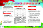 防疫网格化