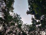 仰望天空