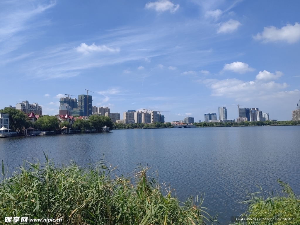 湿地公园湖边城市建筑群