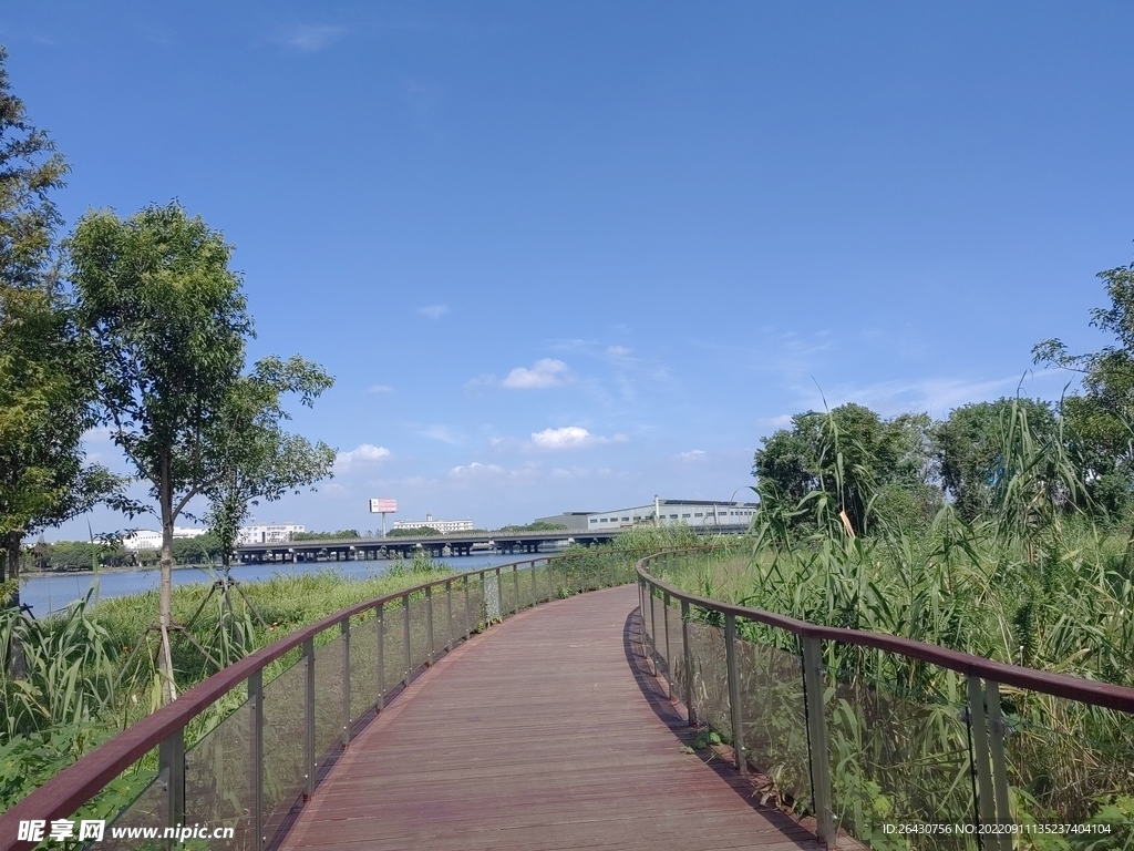 湿地公园观光木质步道