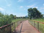 湿地公园健身步道