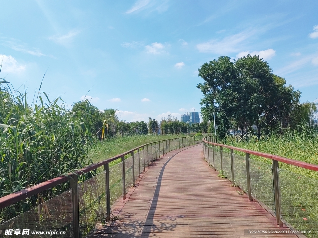 湿地公园健身步道