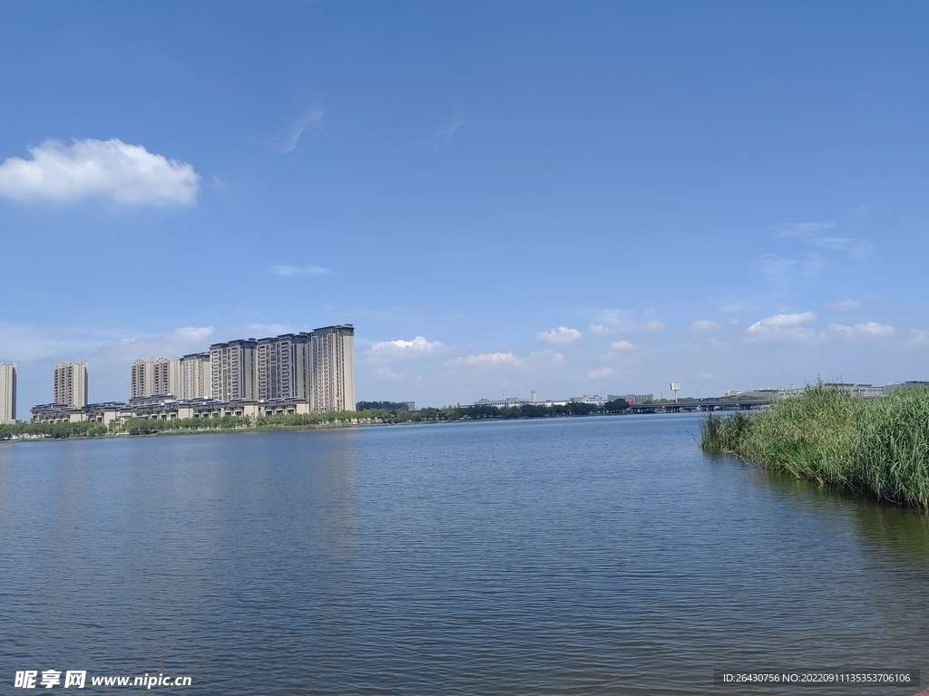 湿地公园湖边建筑群