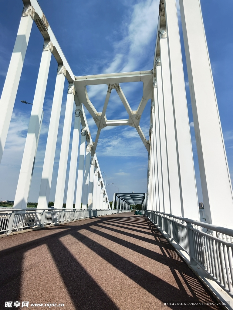 钢结构跨湖大桥风景
