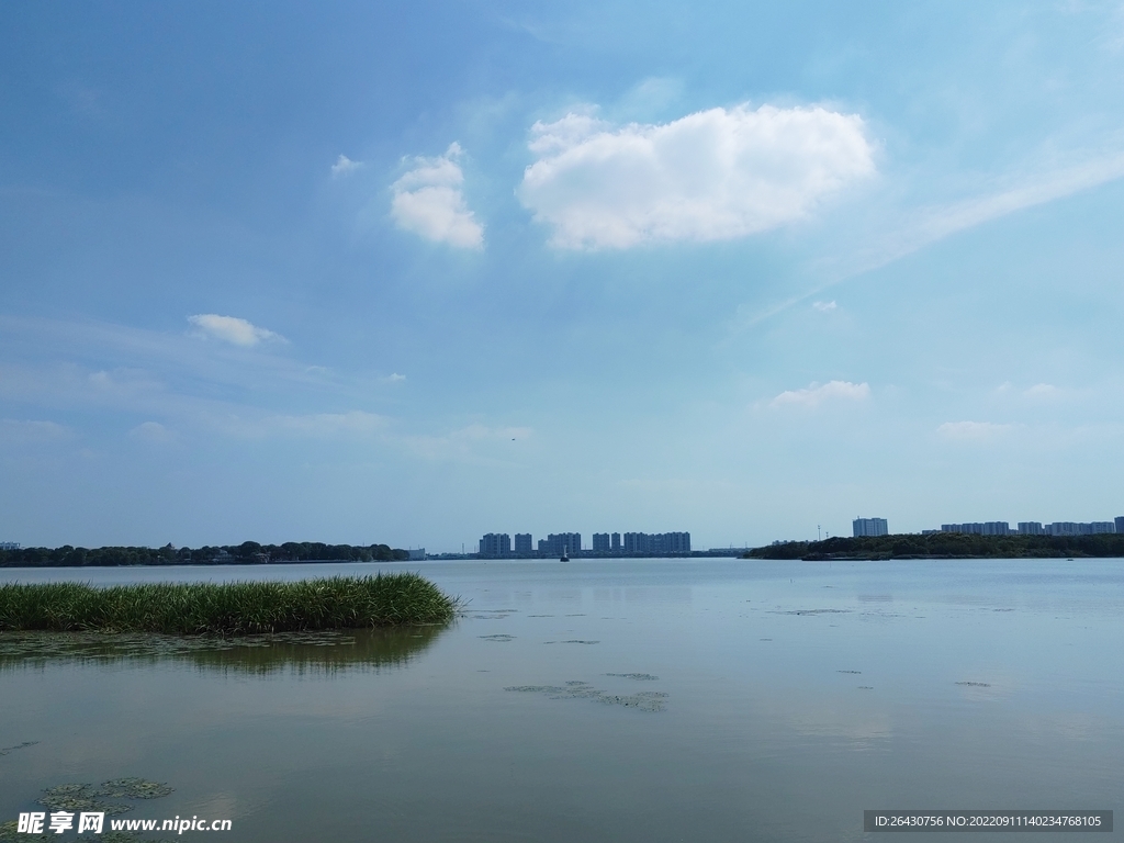 湿地公园白云