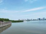 湿地公园城市建筑