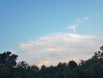 林间晚霞