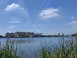 湿地公园湖边建筑风景