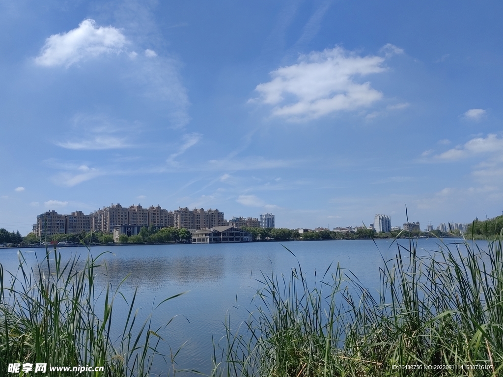 湿地公园湖边建筑风景