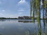 湖边城市建筑风景