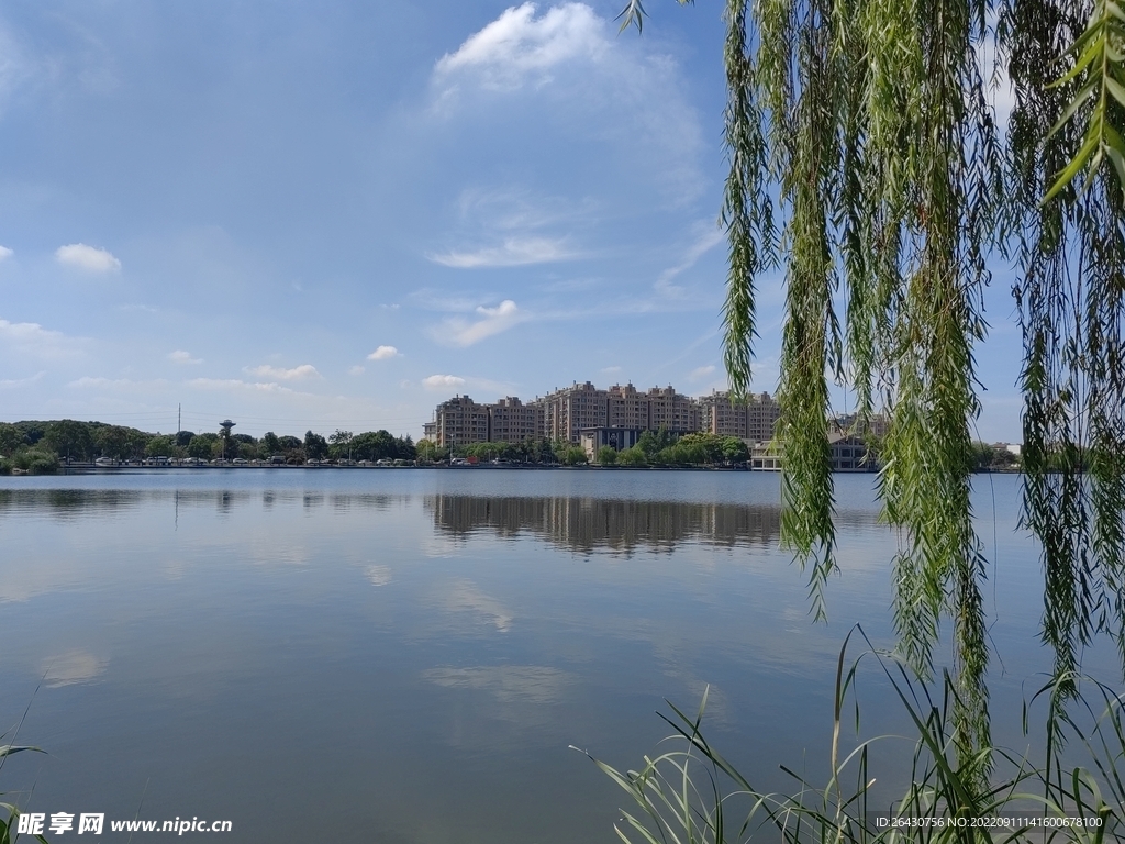 湖边城市建筑风景