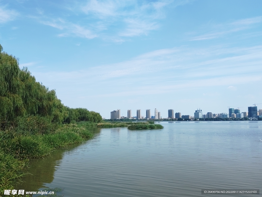 湿地湖边城市建筑