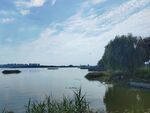 湿地公园风光景色