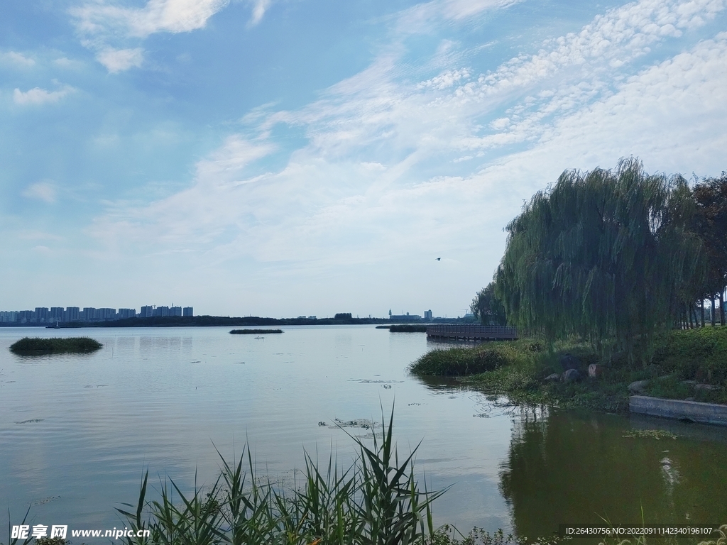 湿地公园风光景色