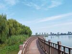 湿地公园湖边观光木质步道
