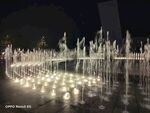 水景