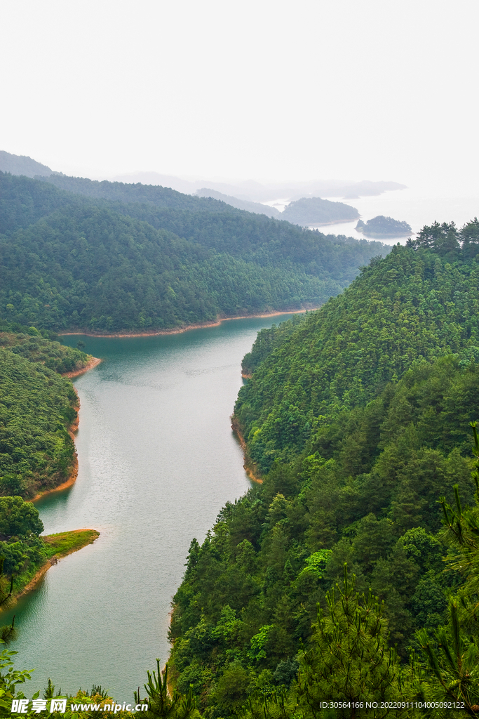 森林河流