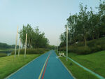 公园景观道图片
