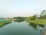 公园景观河图片