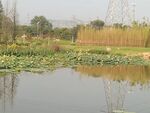 公园图片