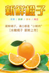 橙子