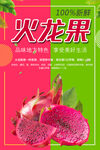 火龙果