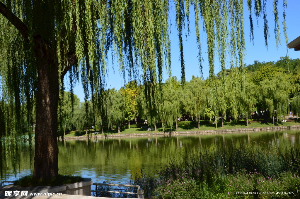 陶然亭风景  