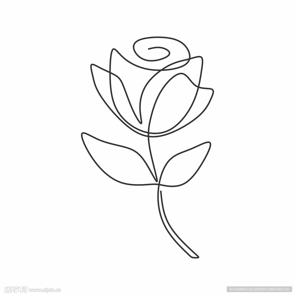 简单漂亮儿童植物简笔画图片 玫瑰花的画法图解教程 肉丁儿童网