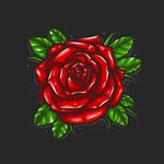 矢量玫瑰花