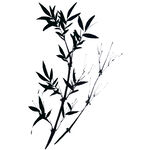 手绘水墨竹子