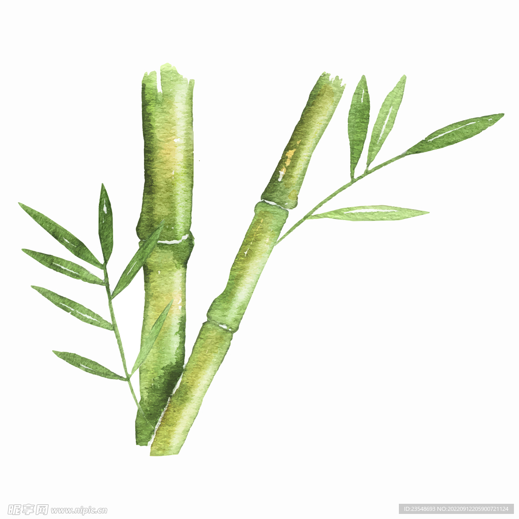 矢量手绘竹子