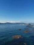 海