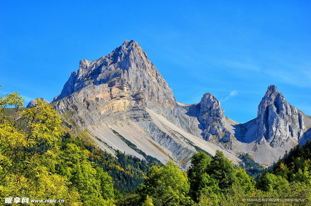 阿尔卑斯山