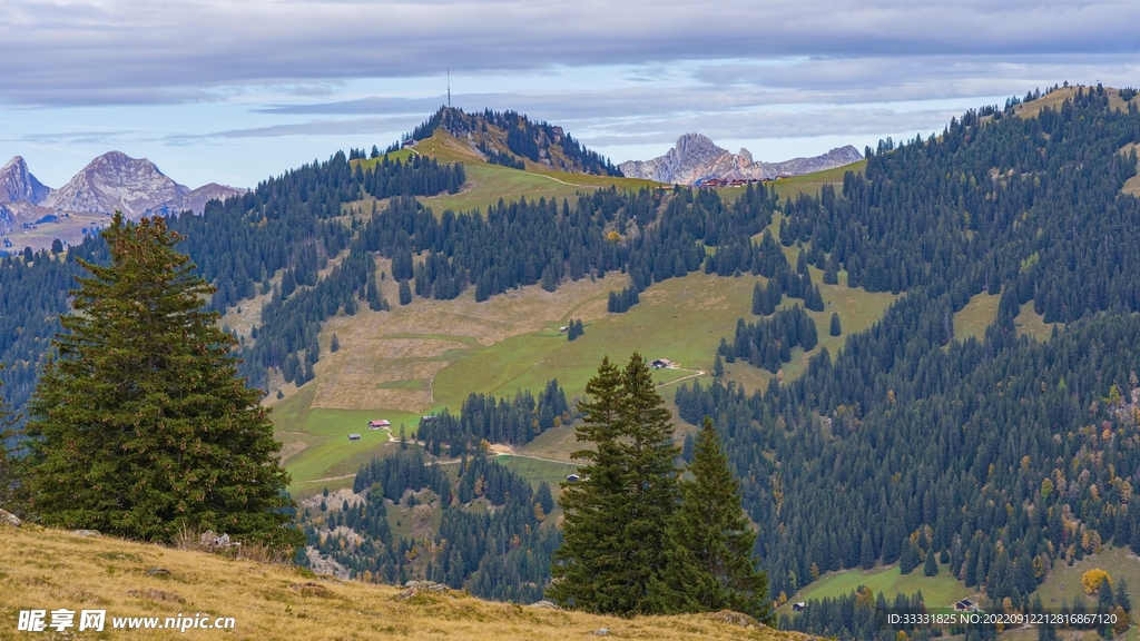 阿尔卑斯山