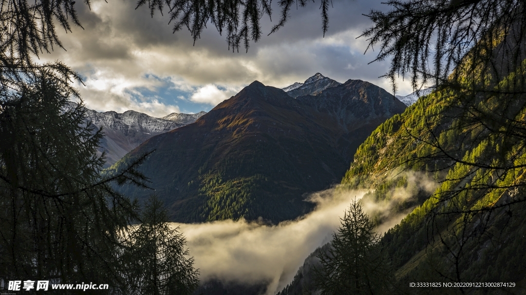 阿尔卑斯山
