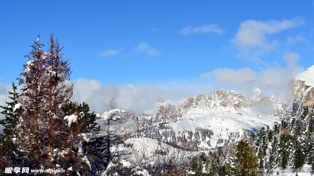 阿尔卑斯山