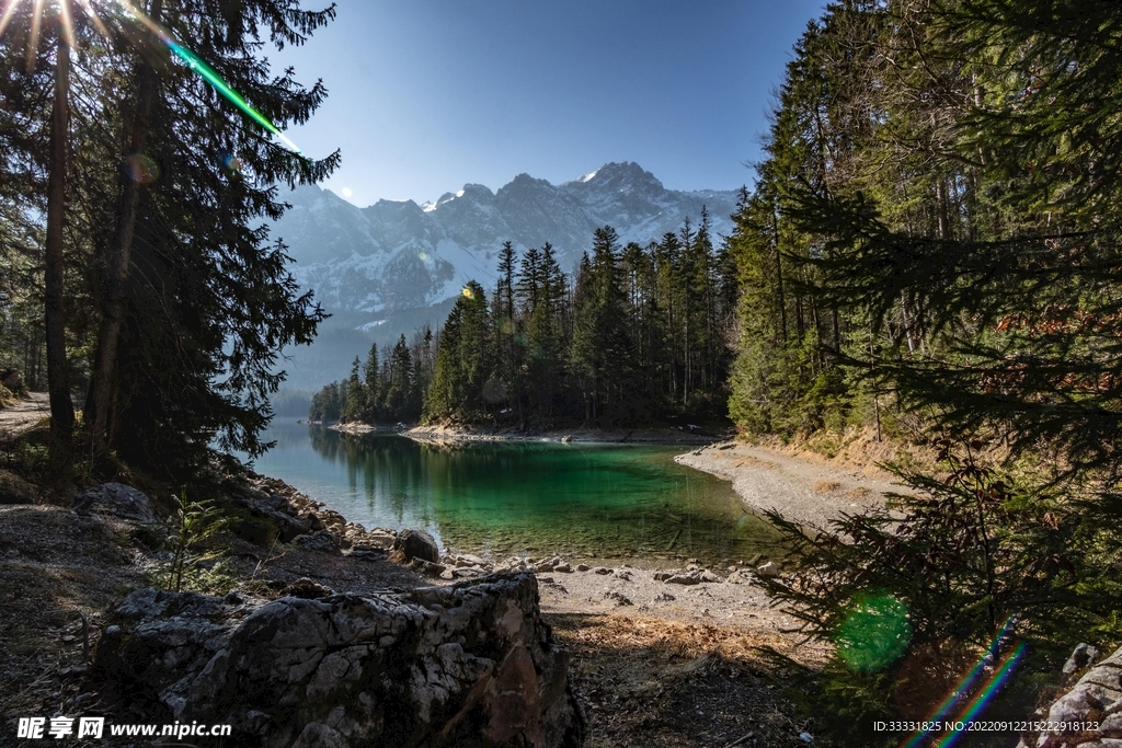 阿尔卑斯山