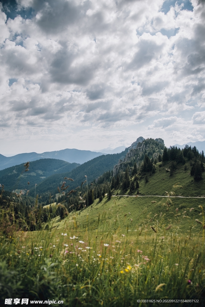 阿尔卑斯山