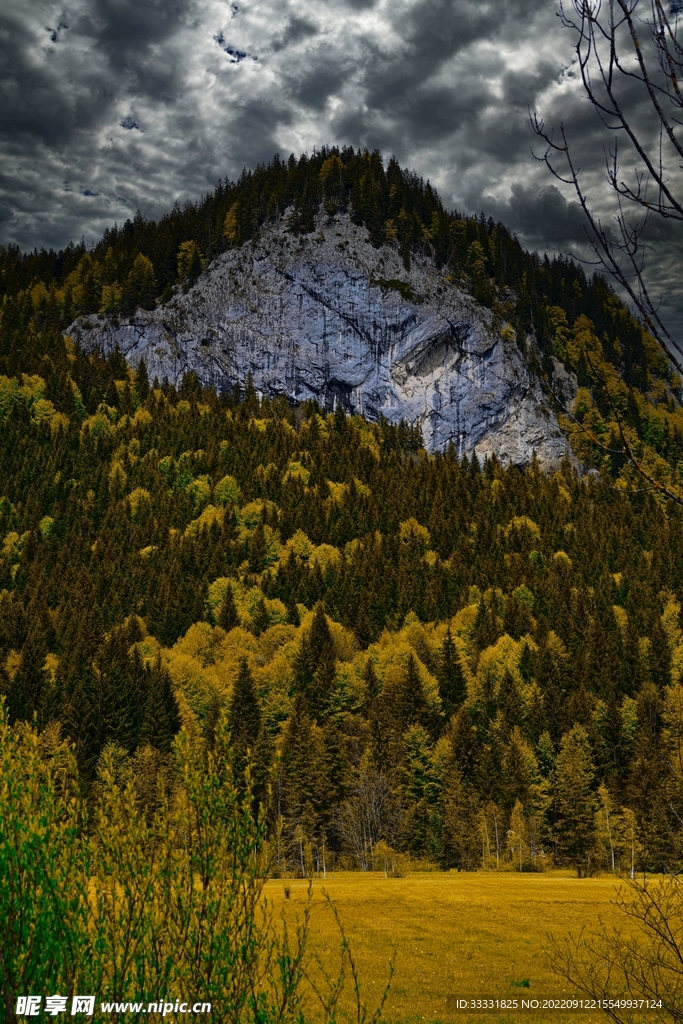 阿尔卑斯山