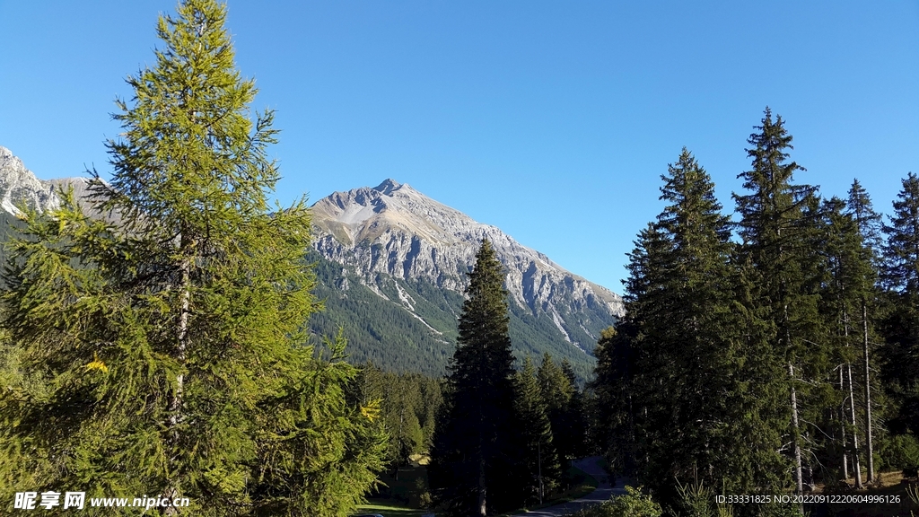 阿尔卑斯山