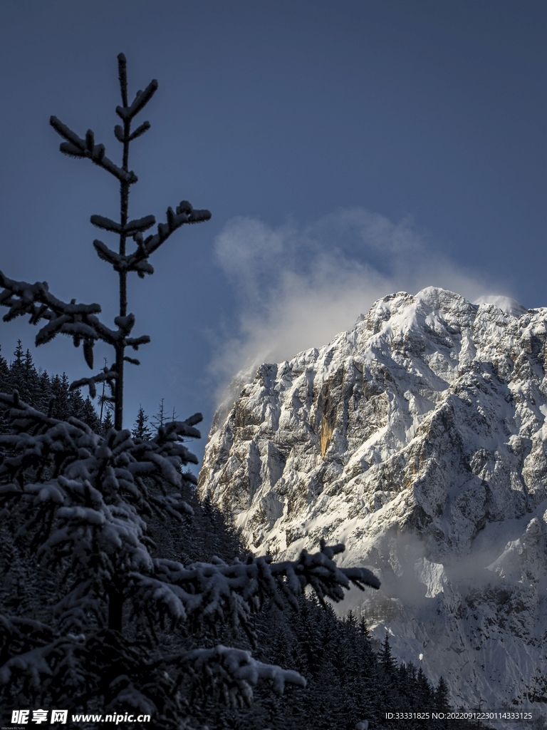 阿尔卑斯山
