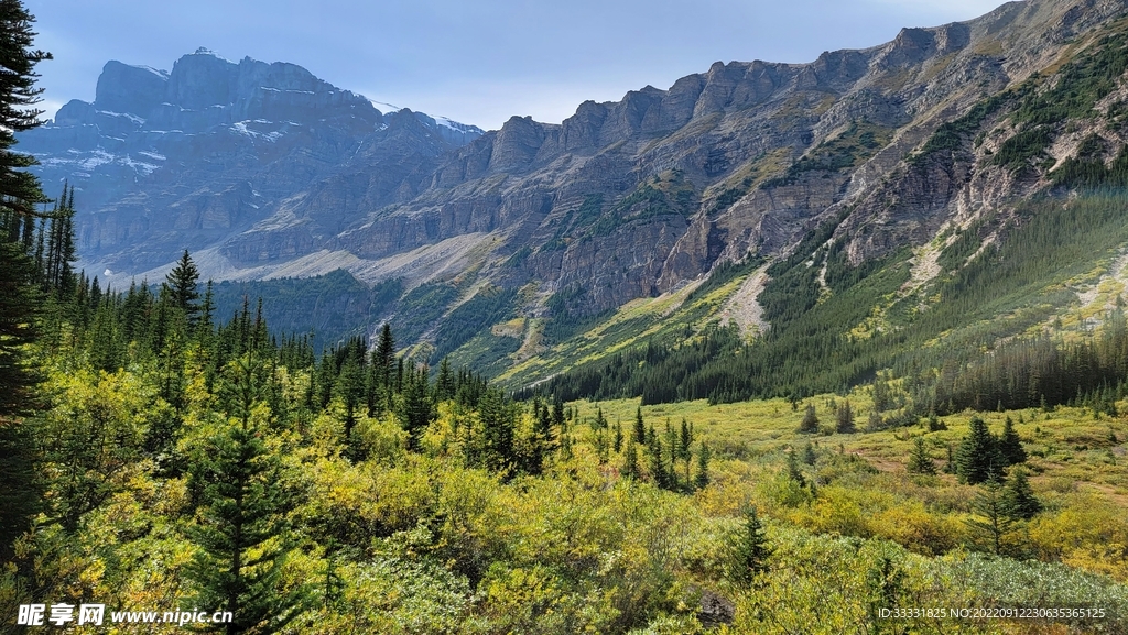 阿尔卑斯山