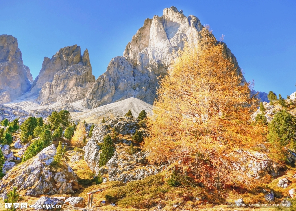 阿尔卑斯山