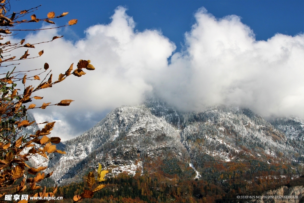 阿尔卑斯山