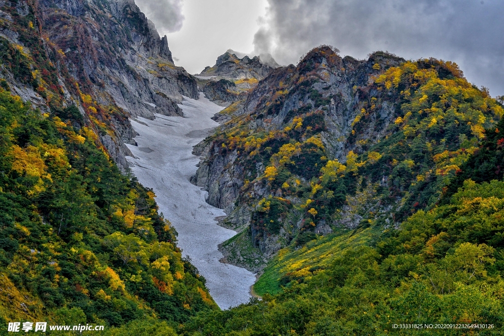 阿尔卑斯山