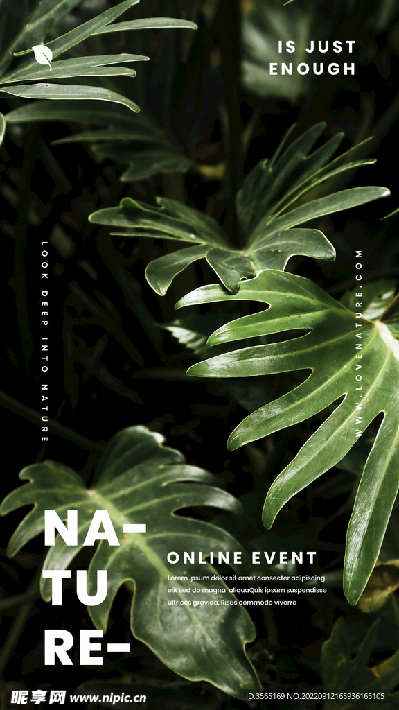 自然植物绿色叶子海报PSD模板