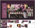 清新摄影作品集