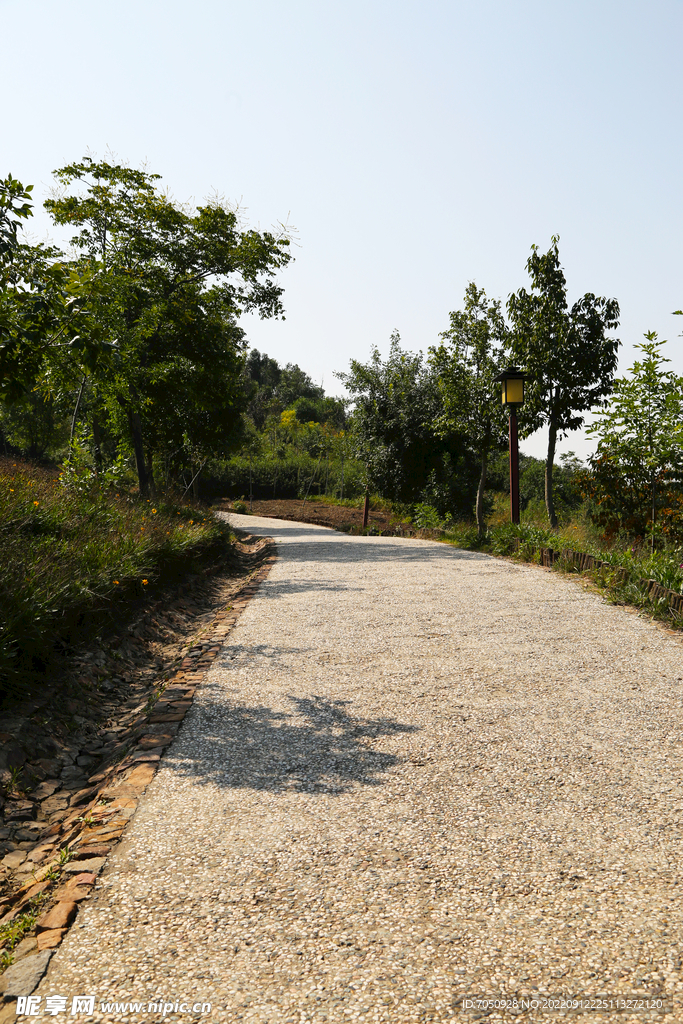 石子纹理路面图片