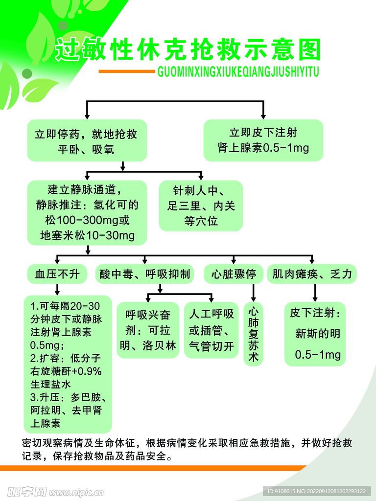 过敏性休克抢救示意图