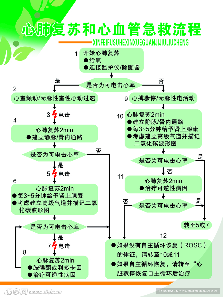 心肺复苏和心血管急救流程